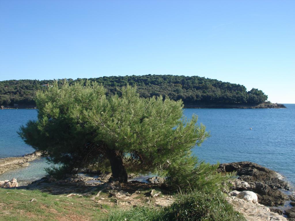 Holiday Home Julia Banjole Extérieur photo