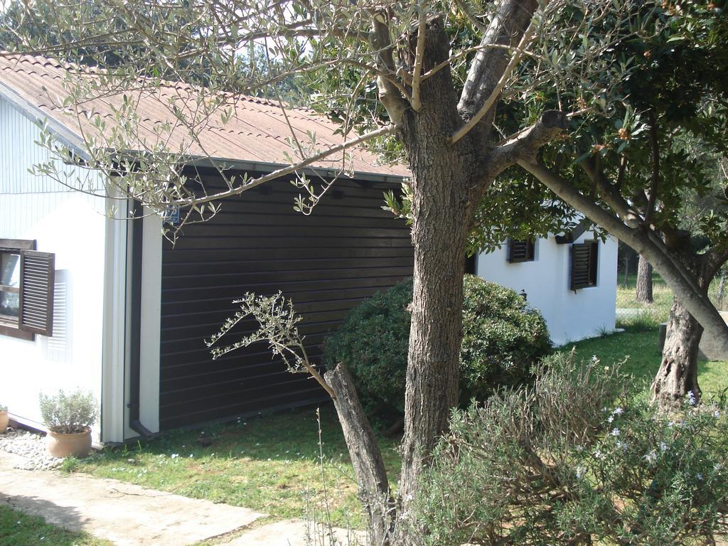 Holiday Home Julia Banjole Extérieur photo