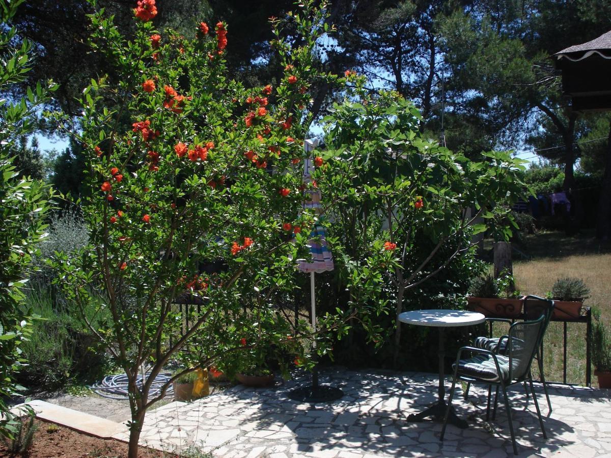 Holiday Home Julia Banjole Extérieur photo